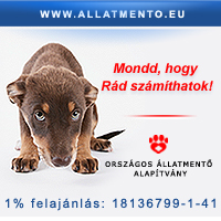 Országos Állatmentő Alapítvány