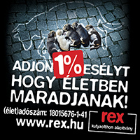 Rex Kutyaotthon Alapítvány